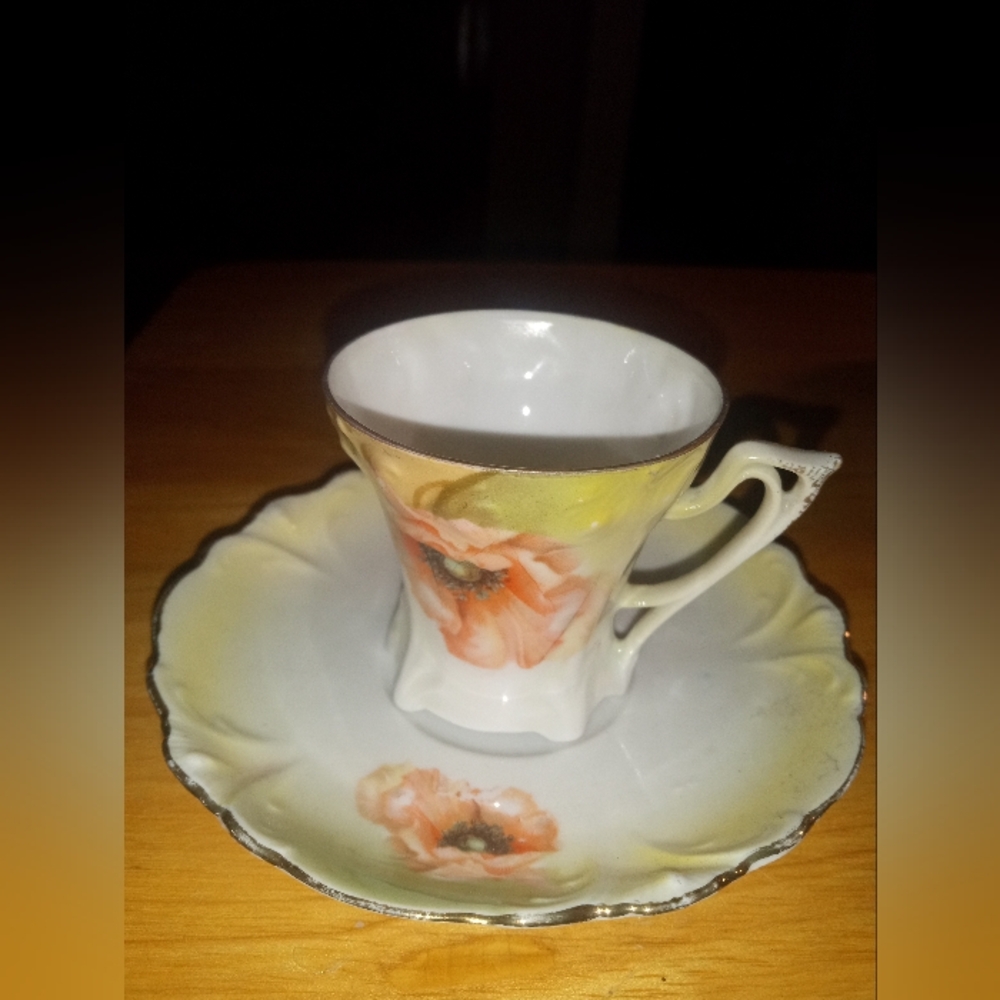 R. S. Germany demitasse tea cup and saucer
